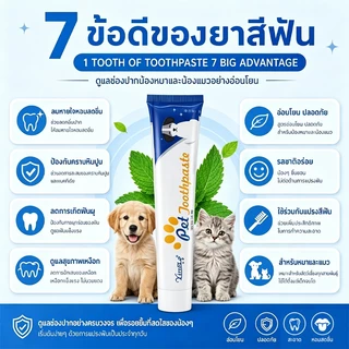 ชุดแปรงฟันสัตว์เลี้ยง ลดหินปูน ช่วยลดกลิ่นปากสัตว์เลี้ยง สุขภาพฟันดี หลายรสชาติ ชุดยาสีฟันหมาและแมวสำหรับสัตว์เลี้ยง