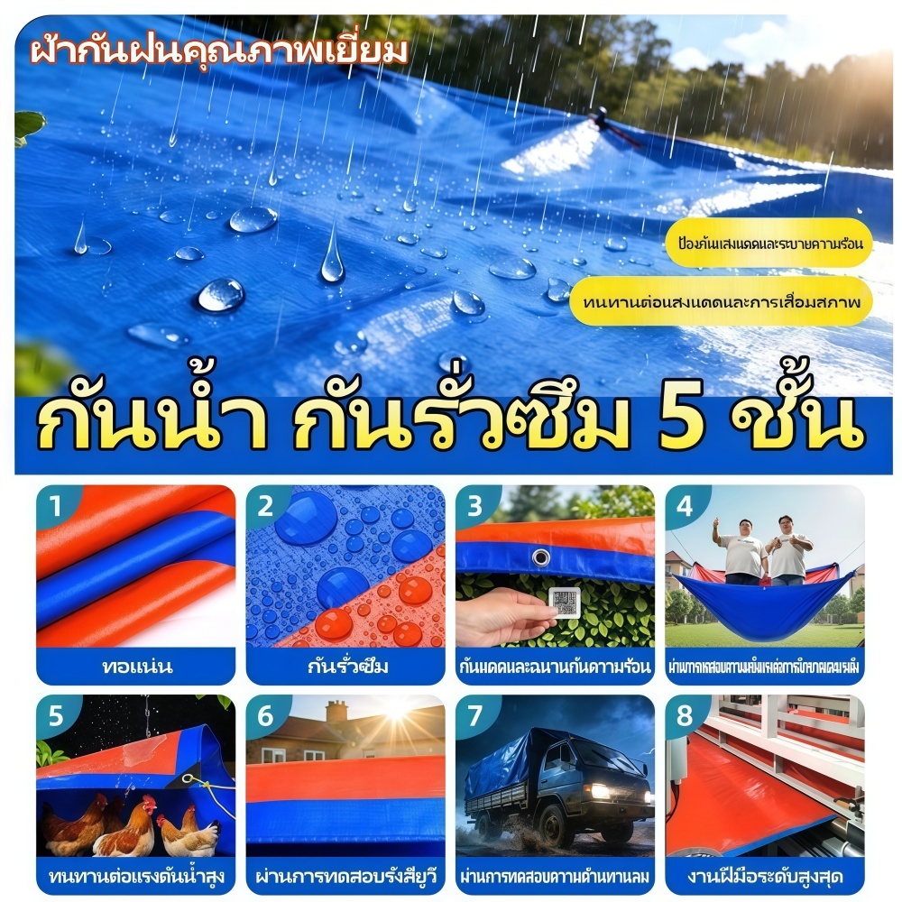 Thumbnail 9
