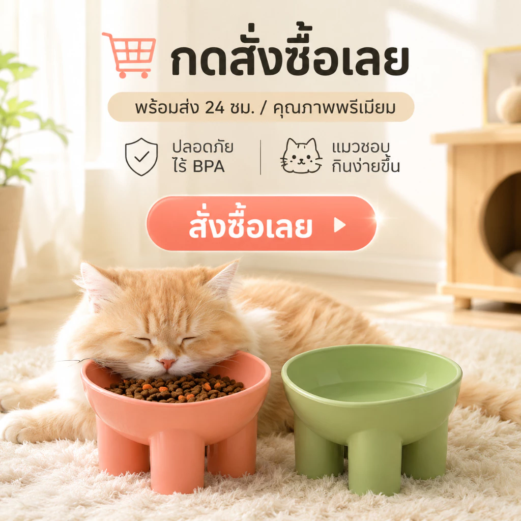 ชามอาหารสัตว์เลี้ยง ทรงเฉียง กันมด แมวและสุนัข thumbnail 10
