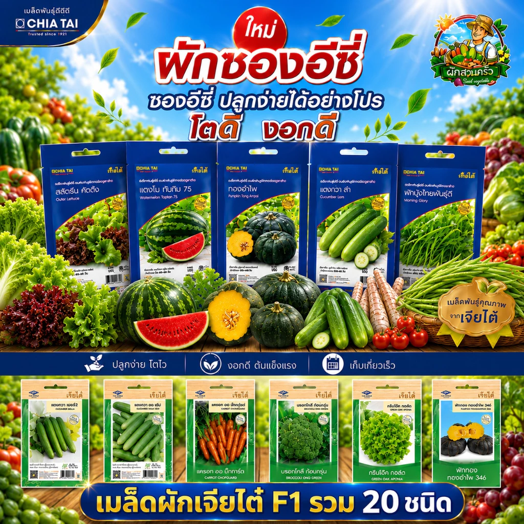 รวมผักเจียไต๋ ผักซองอีซี่ F1 ผักซอง 40 กว่าชนิด เมล็ดพันธุ์คุณภาพดี ปลูกง่าย โตไว #เจียไต๋