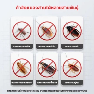 10ปีไม่มีแมลงสาบ‼️ยากำจัดแมลงสาบ ยาฆ่าแมลงสาบ ยากำจัดแมงสาป ไล่แมลงสาบ 100g สูตรปลอดภัย ปลอดภัยสำหรับคนและสัตว์เลี้ยง
