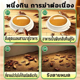 ยาฆ่าแมลงสาบ เหยื่อแมลงสาบ แพ็คคุ้ม กำจัดแมลงสาบ เห็นผลเร็ว