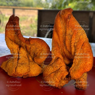 หูหมูกรอบ จ่านนท์ หนังกรอบหนึบเคี้ยวเพลิน ทำสดใหม่