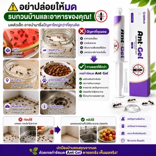 🐜พร้อมส่ง🐜Ant Gel เจลกำจัดมด กำจัดถึงรัง เห็นผลไว ปลอดภัย ใช้งานง่าย เจลล่อมด มดกินแล้วตายยกรัง ใช้ได้ทั้งบ้าน