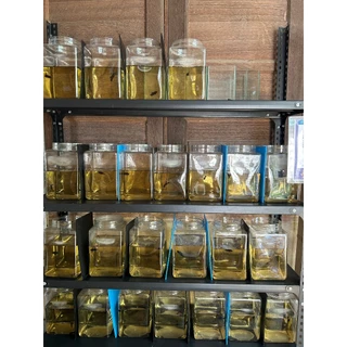 NAC.Shop โหลพลาสติกใส หน้าเรียบ บรรจุ 2 ใบ แถมฝา โหลปลากัด เหมาะสำหรับเลี้ยงปลากัด ไม่มีรอยต่อ