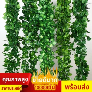 ไม้เลื้อยไอวี่ใบใหญ่ 2.4M สีเขียวธรรมชาติ | พืชปลอมประดิษฐ์ วัสดุพรีเมียม | แขวนผนัง ตกแต่งบ้าน สวน คอนโด สไตล์หรูหรา