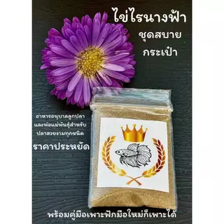 ไข่ไรนางฟ้า ชุดสบายกระเป๋า 1 ซอง (ซองละ 0.7 กรัม) อาหารอนุบาลลูกปลาและเลี้ยงพ่อแม่พันธุ์ พร้อมคู่มือ ส่งไว