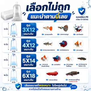 NAC.Shop : (แพ็คครึ่งโล) ถุงเหนียวPE ถุงแพ็คปลา500 กรัม ต่อ 1 แพ็ค ถุงคุณภาพสูง ไม่รั่วไม่ซึมเคลมได้
