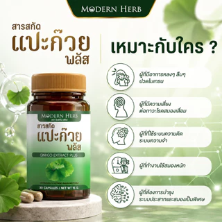 Modern Herb Ginkgo Extract Plus สารสกัดแปะก๊วย