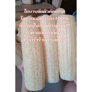 ใยบวบขัดผิว1แถม1โปรเด็ด ใยบวบขัดตัว ใยบวบธรรมชาติ(ใยบวบมีหลายตัวเลือก)