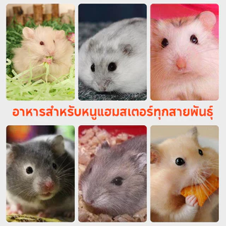 อาหารแฮมเตอร์ อาหารกระรอก อาหารหนู อาหารปลาแห้ง แช่แข็งผักแห้ง เหมาะสำหรับ กระรอก/กระแต/นก​