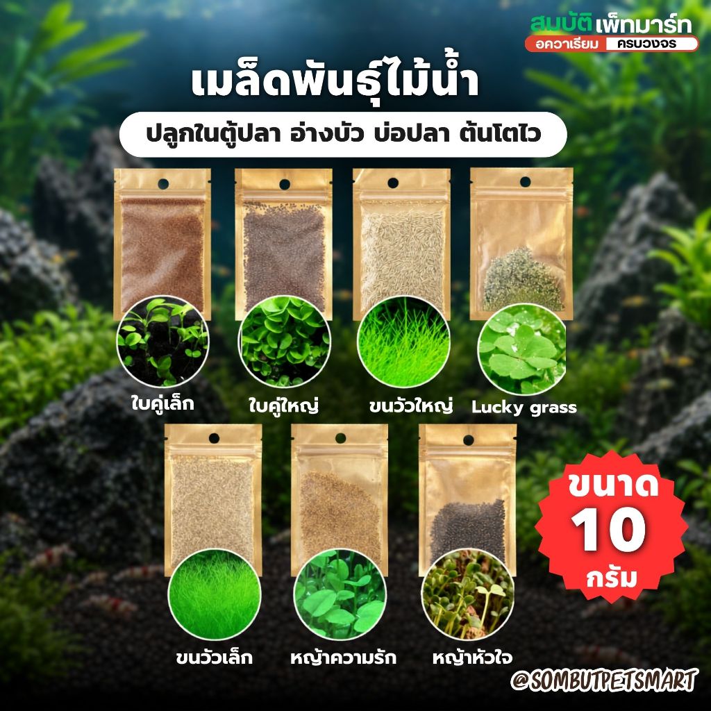 มล็ดพันธุ์ไม้น้ำ ตกแต่งตู้ปลา & อ่างบัว ปลูกง่าย โตไว ไม่ต้องใช้ CO2 ซองละ 10กรัม