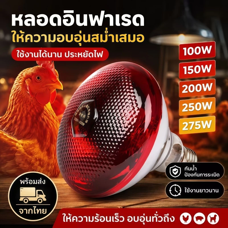 🔥 รุ่นใหม่2026 ไฟกกสัตว์ หลอดไฟอินฟาเรด หลอดไฟกกสัตว์ ให้ความอบอุ่นสัตว์ 100/150/200/250/275W