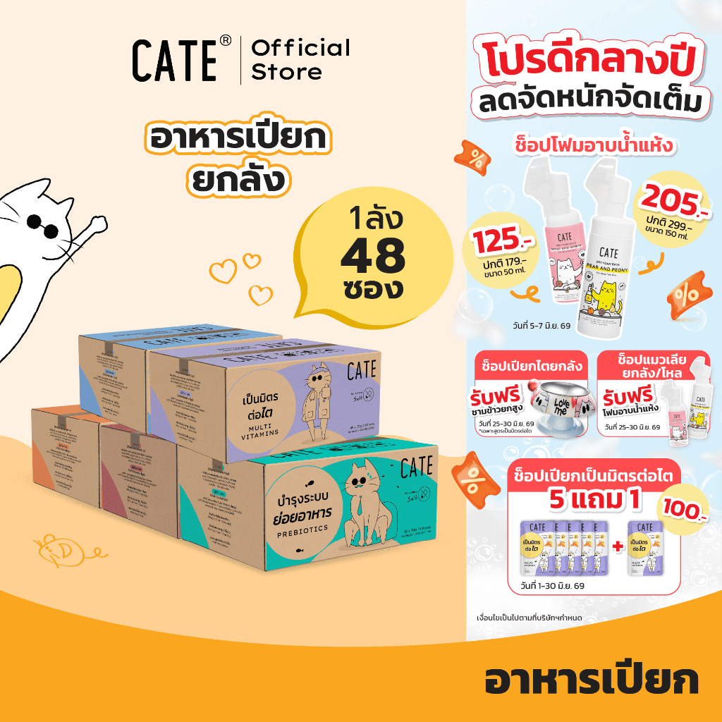 (ยกลังสุดคุ้ม) CATE Wet Food เคท อาหารเปียกแมว 5 สูตร บำรุงร่างกาย ไม่เติมเกลือ ไม่ทำร้ายไต (ยกลัง 48 ซอง)