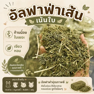 อัลฟาฟ่าก้านใบ แบบปึก5กก และฟ่อน25-29กก
