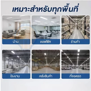 IWACHI หลอดไฟนีออนยาว LED T8 22W (ขั้วสีเขียว) หลอดไฟแบบยาว แสงสีขาว (DAYLIGHT) ยาว 120 cm.