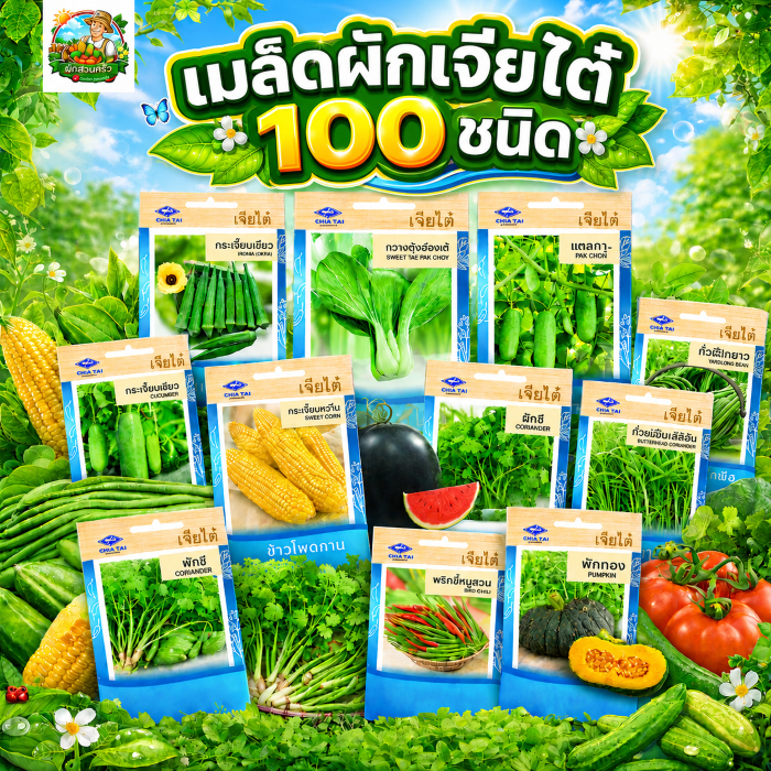 รวมผักเจียไต๋ OP (ชุดที่1) ผักซอง 50 กว่าชนิด  ความงอกดี โตเร็ว