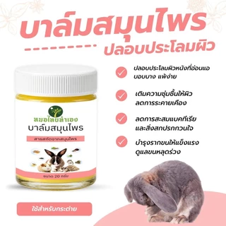 บาล์มสมุนไพรกระต่าย ดูแลผิวหนังสัตว์เลี้ยง ที่มีปัญหา 20 กรัม กระรอก แกสปี้ แฮมเตอร์ หมอไทยทำเอง