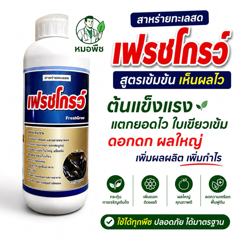 เฟรชโกรว์ สาหร่ายทะเลผสมกรดอะมิโน อาหารเสริมพืชสูตรเข้มข้น (ขนาด 500 ซีซี / 1 ลิตร) ช่วยเปิดตาดอก ฟื้นต้นโทรม บำรุงผลดก⁠