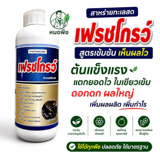 เฟรชโกรว์ สาหร่ายทะเลผสมกรดอะมิโน อาหารเสริมพืชสูตรเข้มข้น (ขนาด 500 ซีซี / 1 ลิตร) ช่วยเปิดตาดอก ฟื้นต้นโทรม บำรุงผลดก⁠