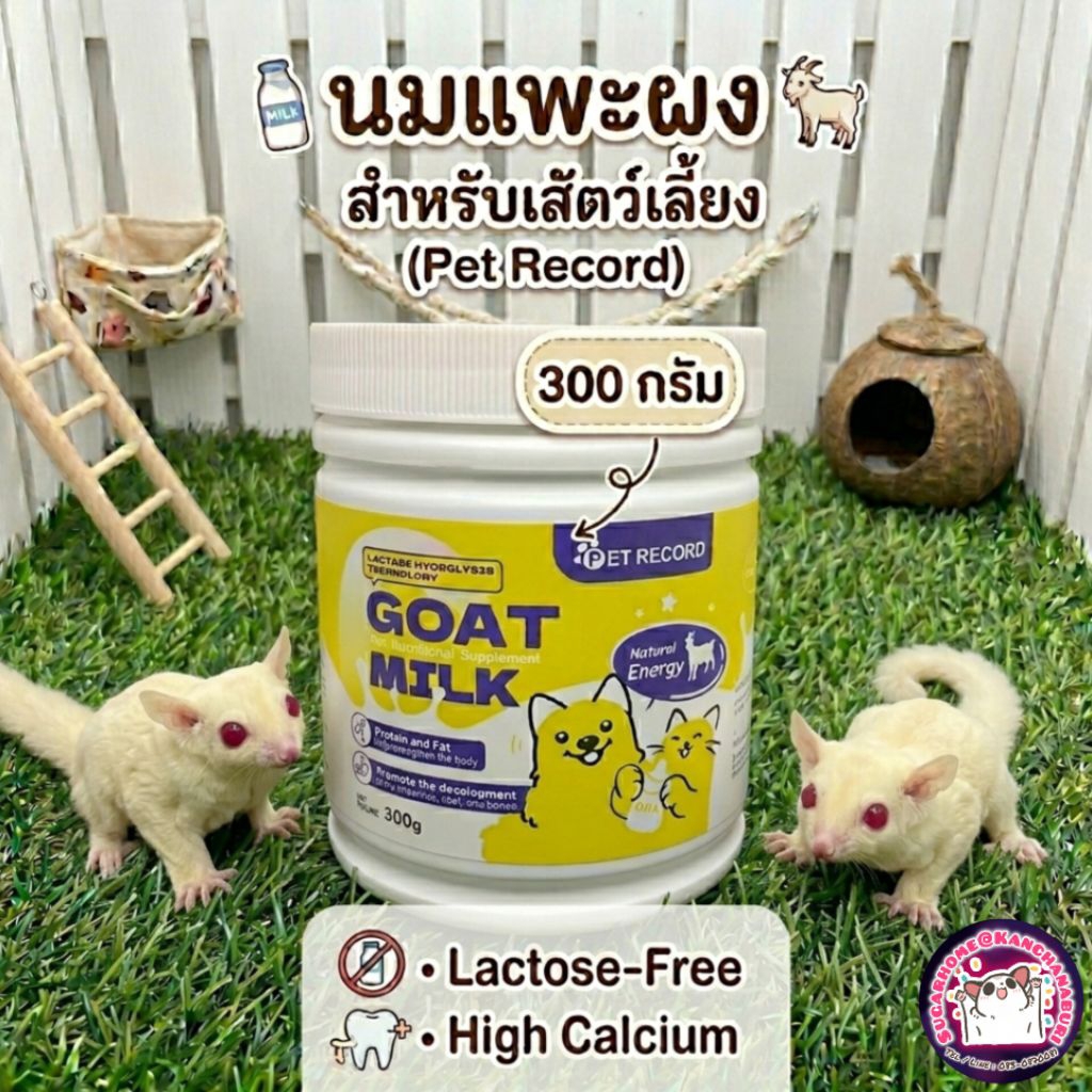 นมแพะผงสำหรับสัตว์เลี้ยง (Pet Record) 300 กรัม