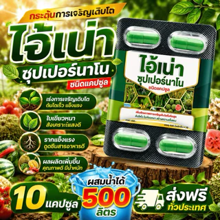 อามีน่าอะมิโนทางด่วน 28ชนิด 2ขวด แถมไอ้เน่า1แผง สูตรอะมิโนทางด่วน เร่งโต ขวดละ1ลิตร