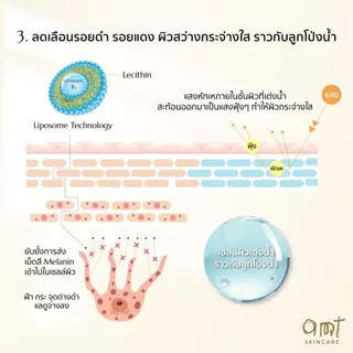 [มีของแถม] (แพ็คคู่) AMT Liposome Serum 50 mL แถมฟรี!! แถมฟรี! เซรั่ม 30mL