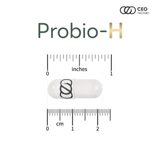 ผลิตภัณฑ์เสริมอาหาร Probio-H (CEO Factory Brand)