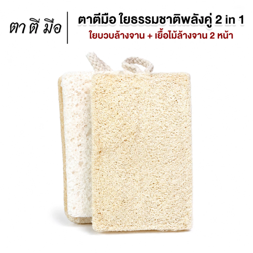 ตาตีมือ ใยบวบล้างจาน 2 หน้า ล้างกระทะ ใยบวบธรรมชาติไม่อัดแบน อ่อนโยนต่อภาชนะ