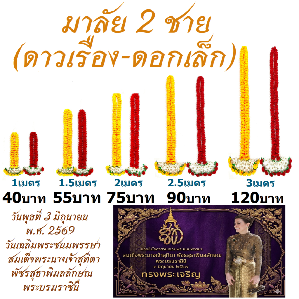 มาลัย 2 ชาย (ดอกเล็ก)  ความยาว 1 เมตร, 1.5 เมตร, 2 เมตร, 2.5 เมตร, 3 เมตร