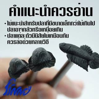 ไม้ล่อปลากัดเหมือนจริงสีดำล้วน มีให้เลือก 3 ขนาดช่วยให้ปลากัดออกฟอร์มชัดเจน