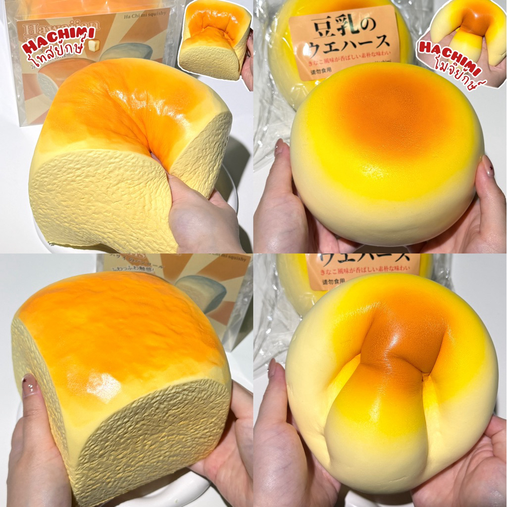 พร้อมส่ง ‼️ สกุชชี่ ‘ Hachimi ‘ 🧈🍎ของแท้ หอมนุ่ม สโลว์ ราคาดี 📍อ่านรูป 2 ก่อนกด📍 | sss store