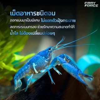 อาหารกุ้งแคระ กุ้งเครย์ฟิช เม็ดจม โตไว ลอกคราบถี่ │CRAYFORCE