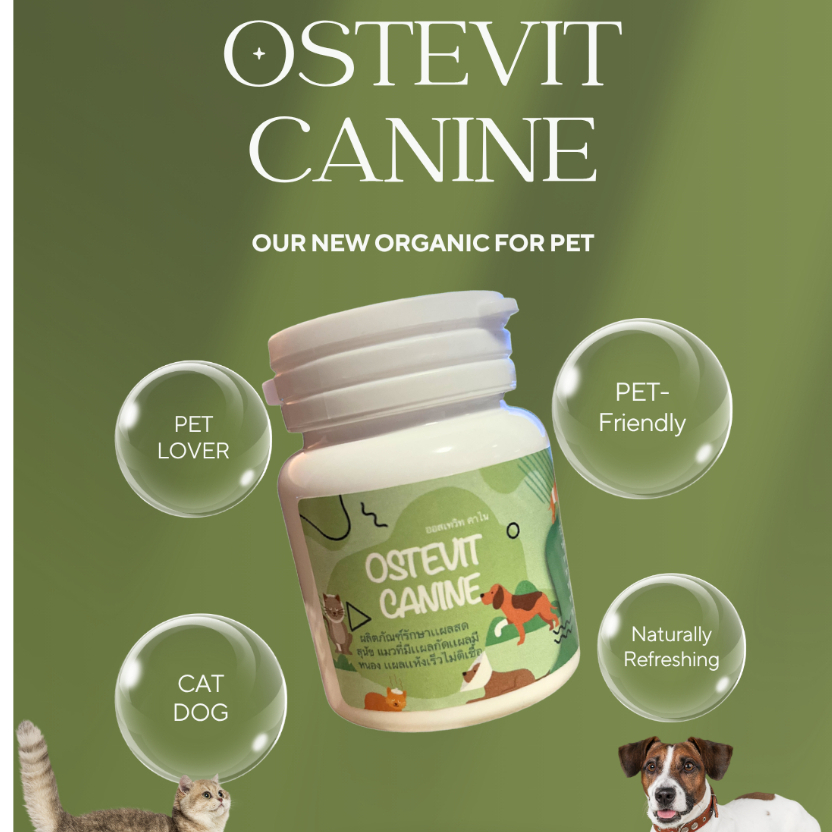 เเผลกัดสัดเลี้ยง Ostevit Canine สำหรับสุนัขและแมว