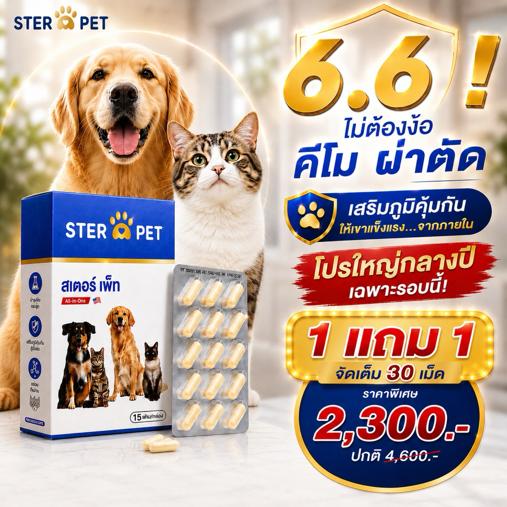 มีส่งด่วน > STER PET <สเตอร์เพ็ท 1 แถม 1 > อาหารเสริมน้องๆป่วย ก้อนเนื้อ ยับยั้งมะเร็ง ดูแลครบวงจร