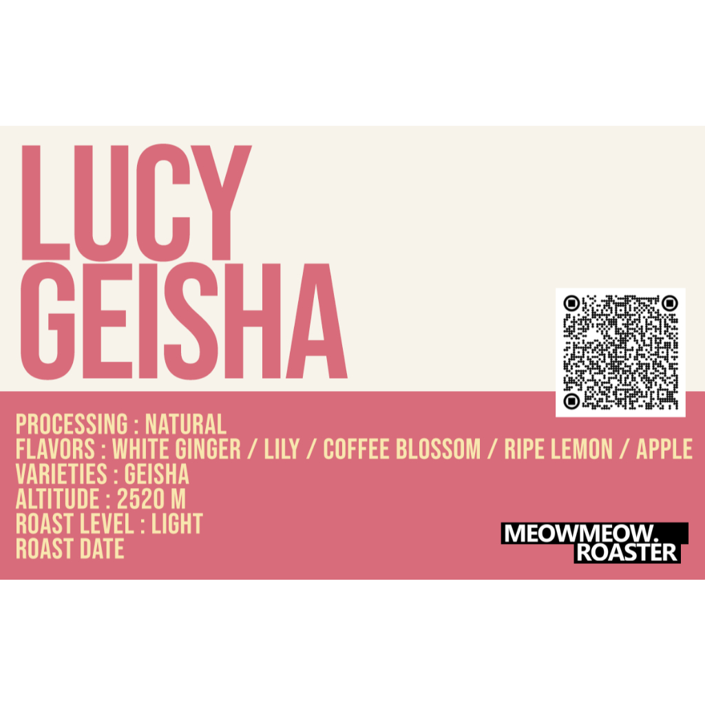 เมล็ดกาแฟ เกอิชา Lucy Geisha (Natural) ดอกไม้ขาวบานฉ่ำจาก MEOWMEOW. ROASTER ☕️✨