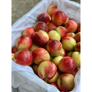 เนคทารีน (1kg) มีเนื้อเหลืองและขาว อร่อยกรอบๆสรรพคุณเยอะมาก