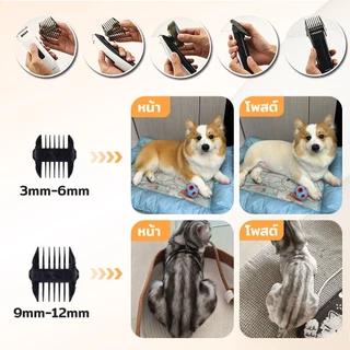 【Ketzuzu】CODOS ปัตตาเลี่ยนตัดขนสัตว์เลี้ยง การเล็ม/โกน/ดัน เครื่องตัดขนสุนัข เสียงเบา ใช้งานง่าย