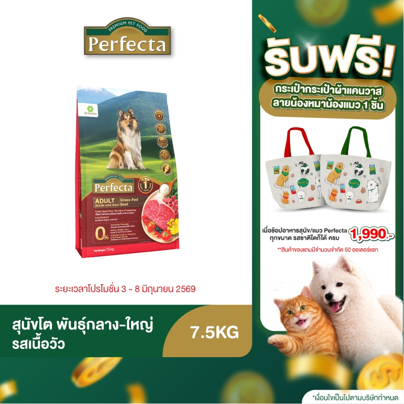 Perfecta Wellness สุนัขโต กลาง-ใหญ่ รสเนื้อ 7.5 KG
