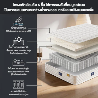 GreaMe ที่นอนหนา 8 นิ้ว พ็อกเก็ตสปริง ไร้เสียง 7 โซนรองรับสันหลัง เหมาะห้องเช่า ขนาด 3.5/5/6 ฟุต