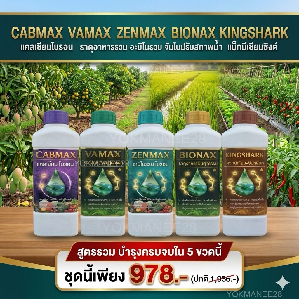 (C1+V1+B1+Z1+K1) ปุ๋ยน้ำ 5 สูตรรวม แคลเซียมโบรอน + อะมิโนรวม + ธาตุอาหารพืชรวม + จับใบปรับสภาพน้ำ