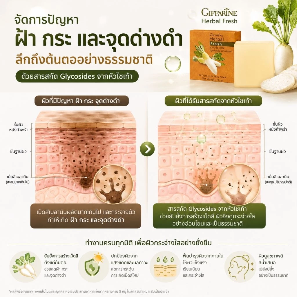 สบู่กลีเซอรีนผสมหัวไชเท้า เฮอร์บัล เฟรช กิฟฟารีน