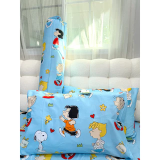 ปลอกหมอนหนุน ปลอกหมอนข้าง ใบละ 40 บาท