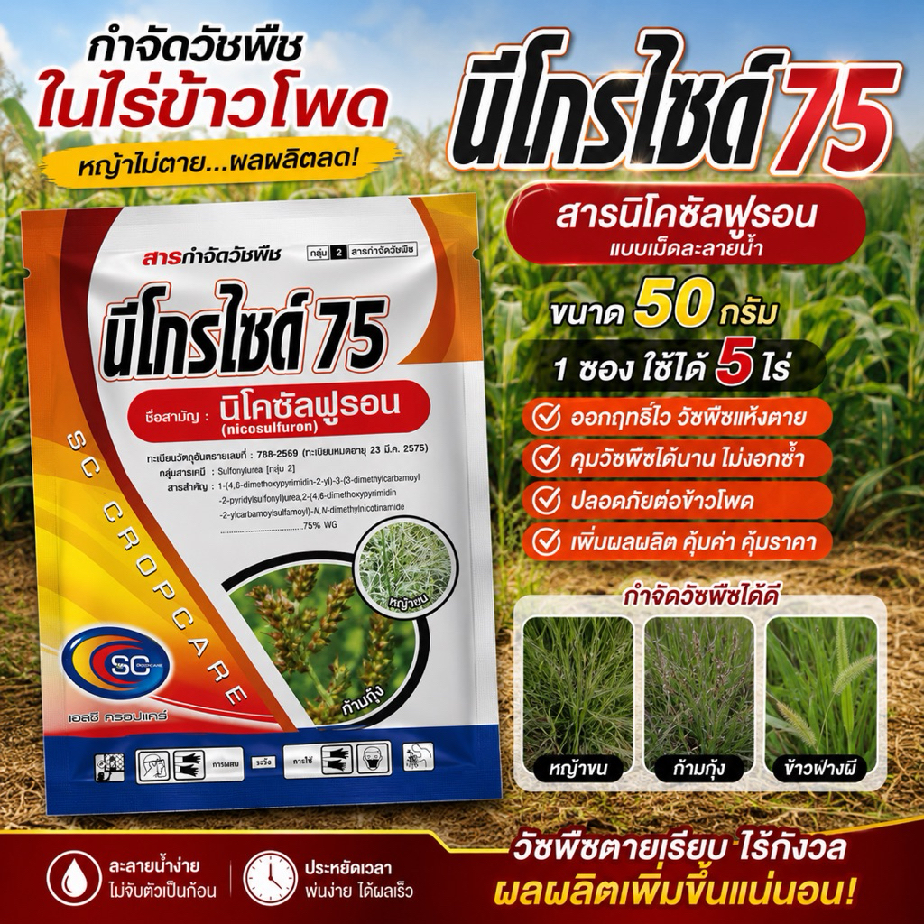 นิโคซัลฟูรอน 75 ขนาด50 กรัม นีโกรไซด์ สารกำจัดวัชพืชในไร่ข้าวโพด ยาฆ่าหญ้าในข้าวโพด 50g คุมและกำจัดหญ้าขน