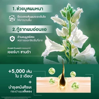 [รอบส่ง19สค.แถมฟรี! แชมพู 8มล.+ครีมนวด 8มล.คละสูตร] Exp.09/28 Yves Rocher ANTI-HAIR LOSS HAIR DENSIFYING BOOSTER 195 ML.