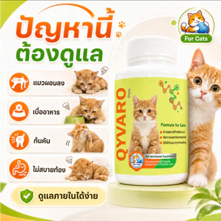 Qyvaro ถ่ายพยาธิแมว ครบทุกชนิด ลูกแมว แมวโต ทุกสายพันธุ์ กินง่าย ทุก 3 เดือน ปลอดภัย 10 เม็ด