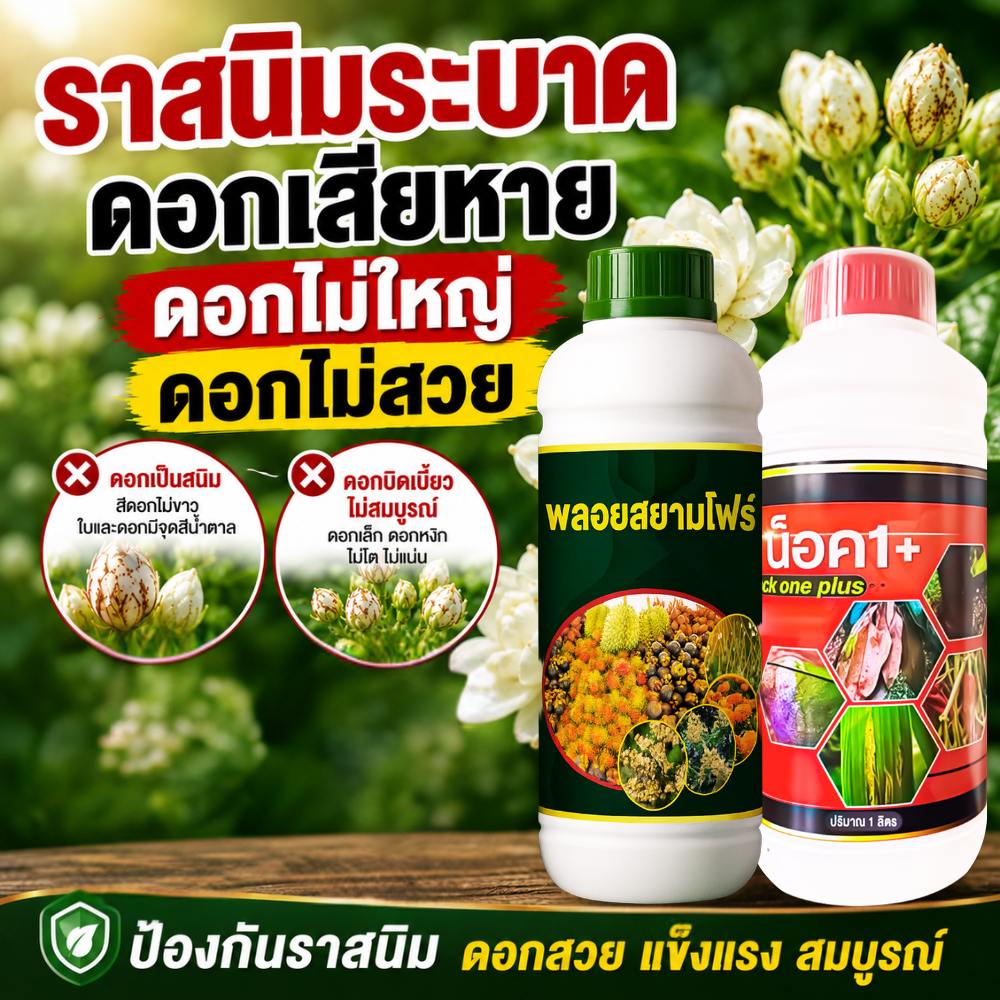 ดอกเป็นสนิม ใบเป็นจุดสีน้ำตาล ดอกเล็ก ดอกออกน้อย ราสนิมระบาด ฉีดพ่นบำรุง ดอกใหญ่ขึ้น ดอกสวย ไม่มีโรค