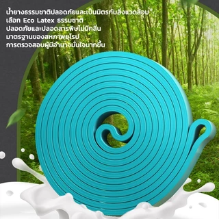 ยางยืดออกกำลังกาย Resistance Band 8 ระดับ TPE 🔥อัพเกรดใหม่🔥 ยางดึงข้อ บริหารกล้ามเนื้อ ยืดเหยียด 208ซม.