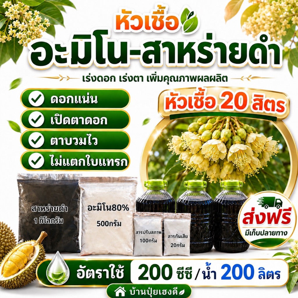 หัวเชื้ออะมิโน-สาหร่ายดำ หัวเชื้อ 20 ลิตร ช่วยเปิดตาดอก ดึงดอก ลดดอกฝ่อ สำหรับพืช ไม้ผลทุกชนิด