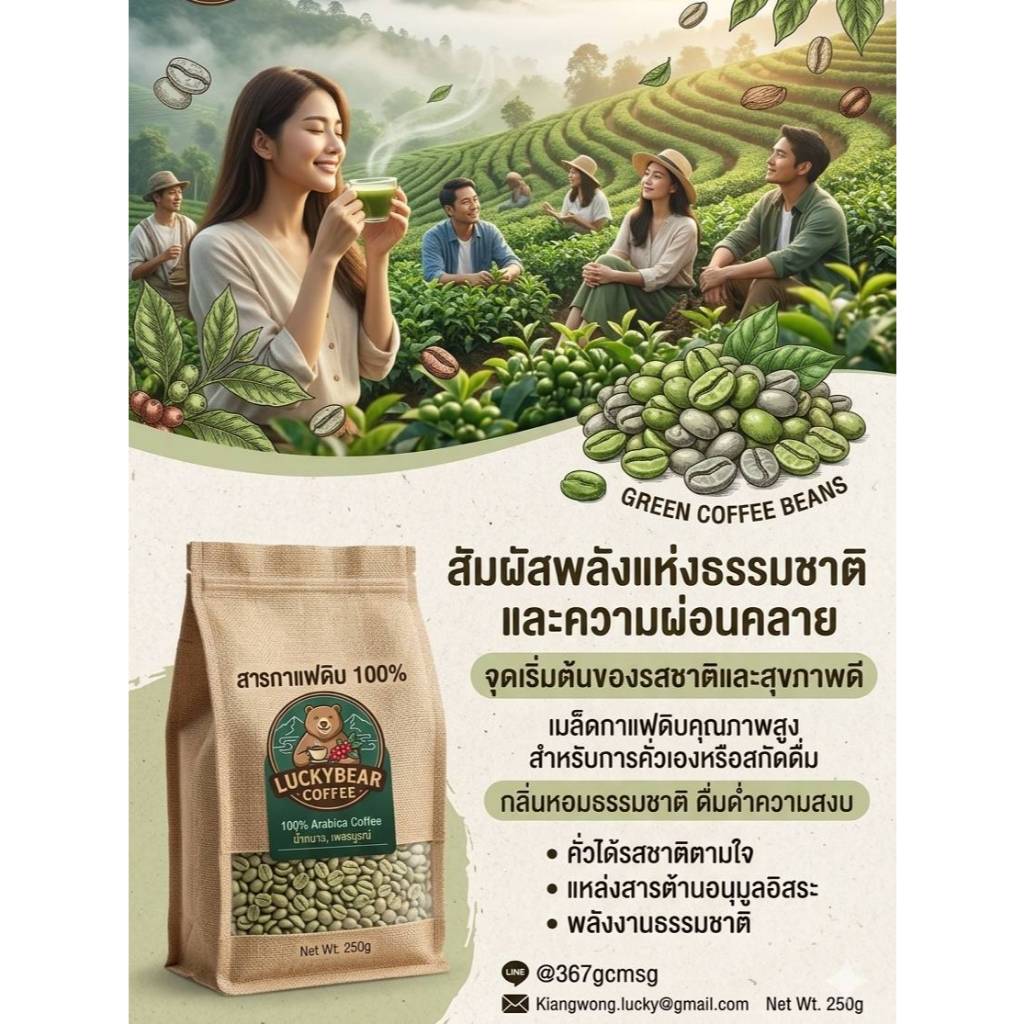 Luckybearcoffee"เมล็ดกาแฟดิบ" หรือ "สารกาแฟ"นำไปใช้คั่วเองที่บ้าน โรงคั่ว หรือสกัดเป็นเครื่องดื่มเพื่อสุขภาพ